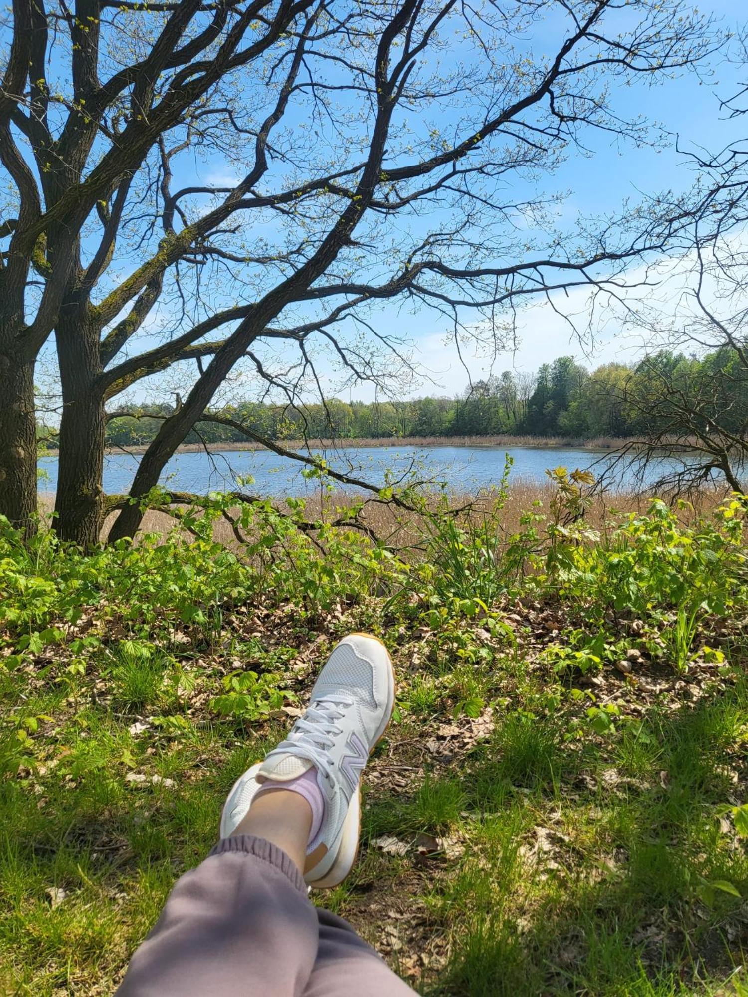 Przystan Natura Iława Extérieur photo